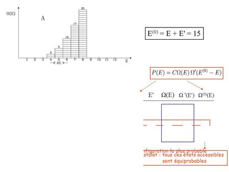 E (0) = E + E' = 15 E E' Ω(E) Ω ' (E') Ω (0) (E) 4 11 2 40 80 5 10 5 26 130 6 9 10 16 160 7 8 17 8 136 8 7 25 3 75 Configuration la plus probable Postulat.