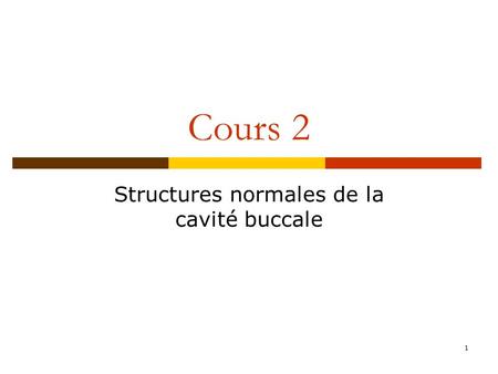Structures normales de la cavité buccale