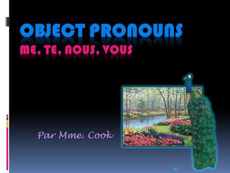 Par Mme. Cook. The pronouns me, te, nous, and vous are often used as objects of verbs. Look at the following sentences: Le chien me mord. Je tinvite à.