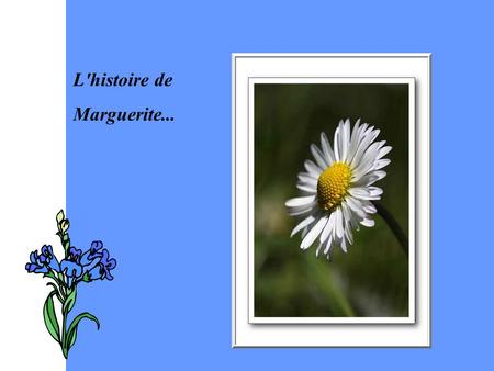 L'histoire de Marguerite....