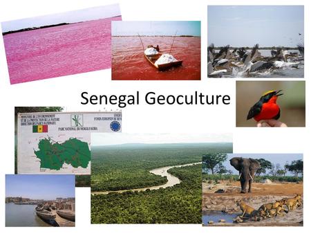 Senegal Geoculture.