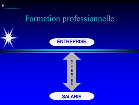 Formation professionnelle