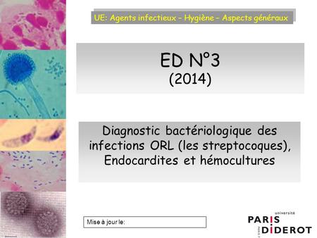 ED N°3 (2014) Diagnostic bactériologique des infections ORL (les streptocoques), Endocardites et hémocultures.
