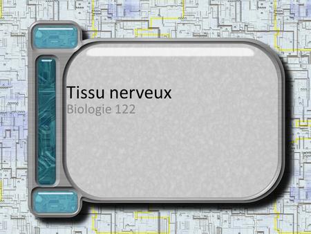 Tissu nerveux Biologie 122.
