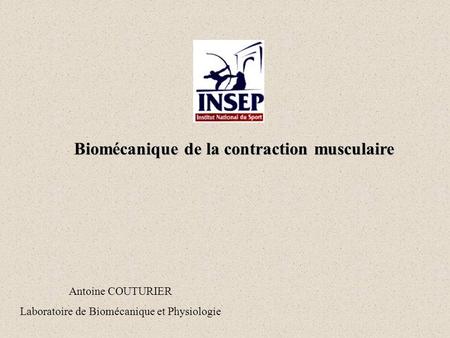 Biomécanique de la contraction musculaire