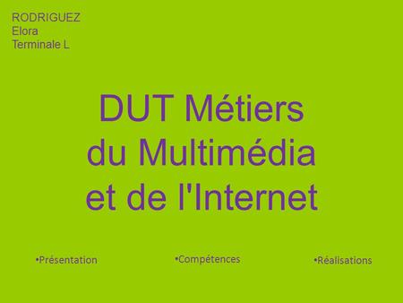 DUT Métiers du Multimédia et de l'Internet
