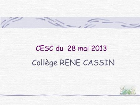 CESC du 28 mai 2013 Collège RENE CASSIN.