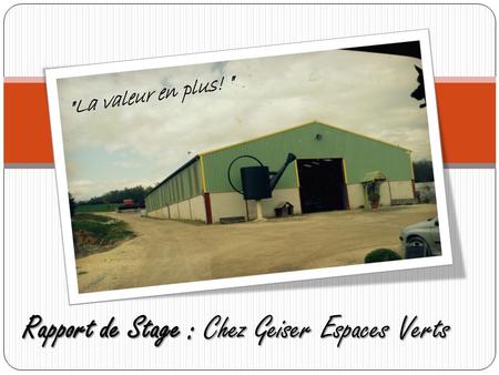 Rapport de Stage : Chez Geiser Espaces Verts