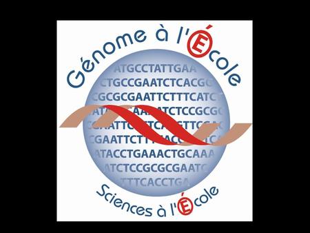 1) Extraction de gènes du peuplier noir I- 2013-2014 : Projet « Populus » (avec dautres lycées)