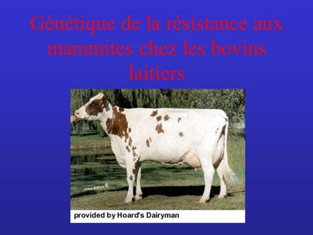 Génétique de la résistance aux mammites chez les bovins laitiers