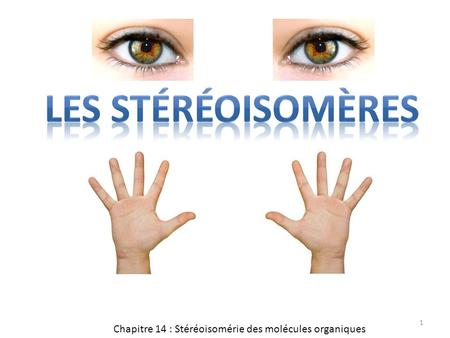 Les stéréoisomères Chapitre 14 : Stéréoisomérie des molécules organiques.
