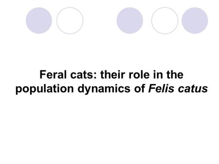 Feral cats: their role in the population dynamics of Felis catus.