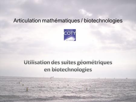 Articulation mathématiques / biotechnologies