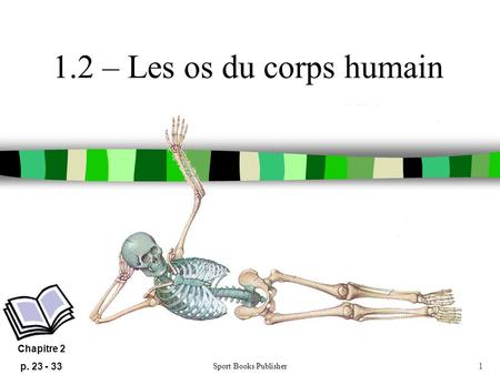 1.2 – Les os du corps humain Chapitre 2 p