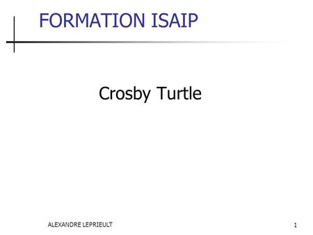 FORMATION ISAIP Crosby Turtle ALEXANDRE LEPRIEULT.