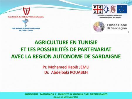 agriculture en Tunisie et les possibilités de partenariat