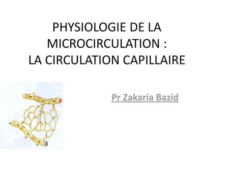 PHYSIOLOGIE DE LA MICROCIRCULATION : LA CIRCULATION CAPILLAIRE