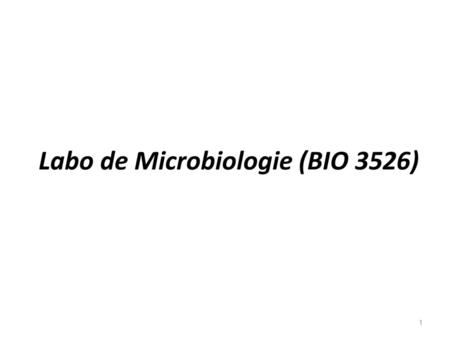 Labo de Microbiologie (BIO 3526)
