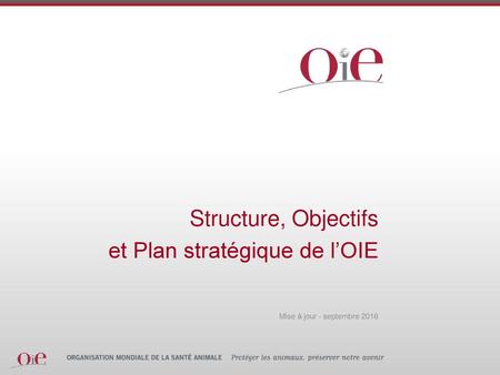 Structure, Objectifs et Plan stratégique de l’OIE