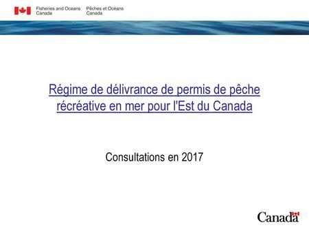 Régime de délivrance de permis de pêche récréative en mer pour l'Est du Canada Consultations en 2017.