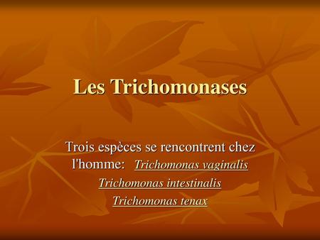 Les Trichomonases     Trois espèces se rencontrent chez l'homme:   Trichomonas vaginalis Trichomonas intestinalis Trichomonas tenax.