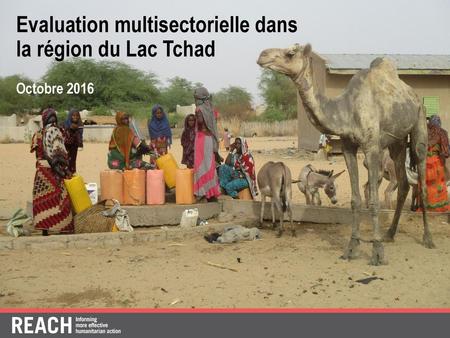 Evaluation multisectorielle dans la région du Lac Tchad
