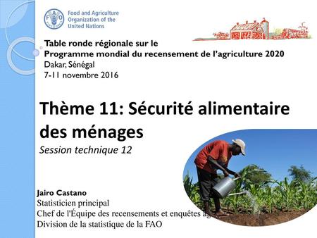 Thème 11: Sécurité alimentaire des ménages