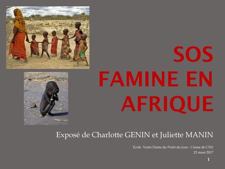 SOS FAMINE EN AFRIQUE Exposé de Charlotte GENIN et Juliette MANIN