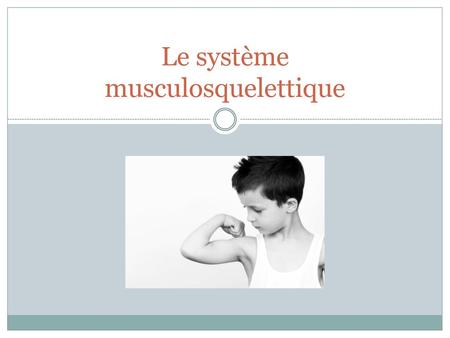 Le système musculosquelettique