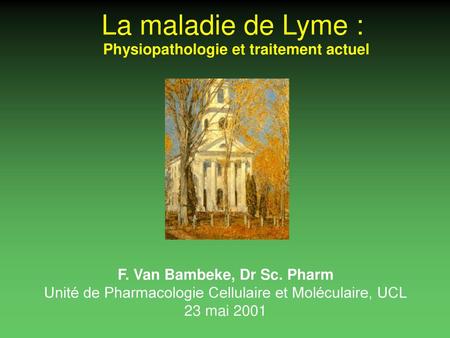 La maladie de Lyme : Physiopathologie et traitement actuel