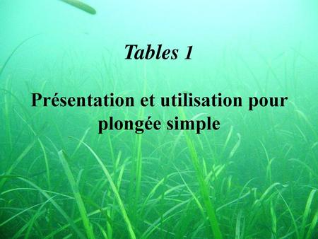 Tables 1 Présentation et utilisation pour plongée simple