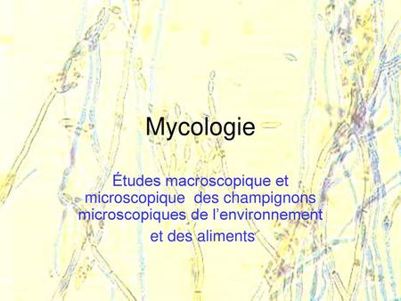Mycologie Études macroscopique et microscopique des champignons microscopiques de l’environnement et des aliments 1.
