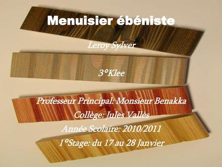 Professeur Principal: Monsieur Benakka