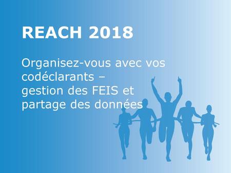 REACH 2018 Organisez-vous avec vos codéclarants –