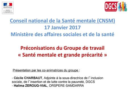 Conseil national de la Santé mentale (CNSM) 17 Janvier 2017 Ministère des affaires sociales et de la santé Préconisations du Groupe de travail « Santé.