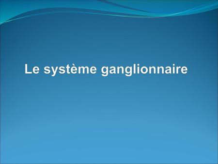 Le système ganglionnaire
