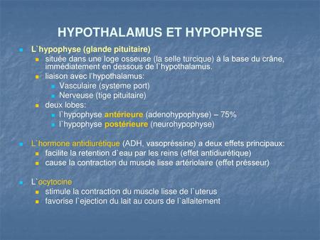 HYPOTHALAMUS ET HYPOPHYSE