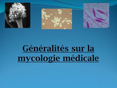 Généralités sur la mycologie médicale