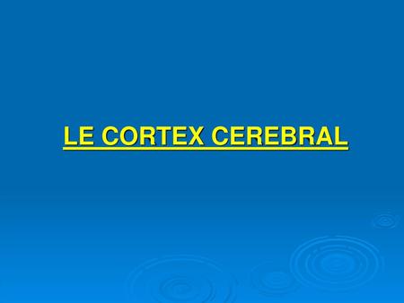 LE CORTEX CEREBRAL.
