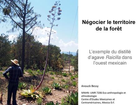 Négocier le territoire de la forêt