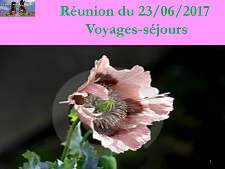 Réunion du 23/06/2017 Voyages-séjours