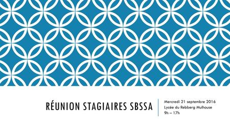 Réunion Stagiaires SBSSA