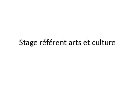 Stage référent arts et culture