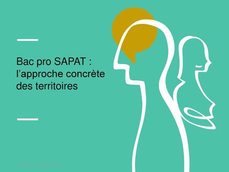 Bac pro SAPAT : l’approche concrète des territoires