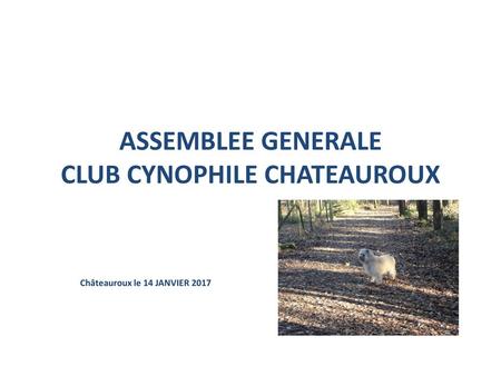 ASSEMBLEE GENERALE CLUB CYNOPHILE CHATEAUROUX