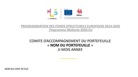PROGRAMMATION DES FONDS STRUCTURELS EUROPEENS 2014-2020  Programme Wallonie-2020.EU COMITE D’ACCOMPAGNEMENT DU PORTEFEUILLE « NOM DU PORTEFEUILLE »