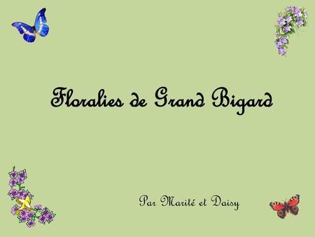 Floralies de Grand Bigard