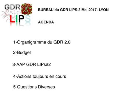 LIPS GDR 1-Organigramme du GDR Budget 3-AAP GDR LIPs#2