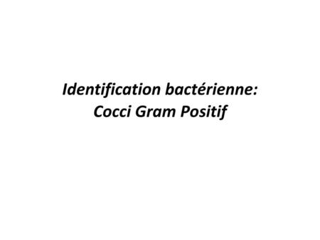 Identification bactérienne: Cocci Gram Positif
