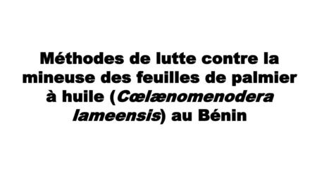 Méthodes de lutte contre la mineuse des feuilles de palmier à huile (Cœlænomenodera lameensis) au Bénin.